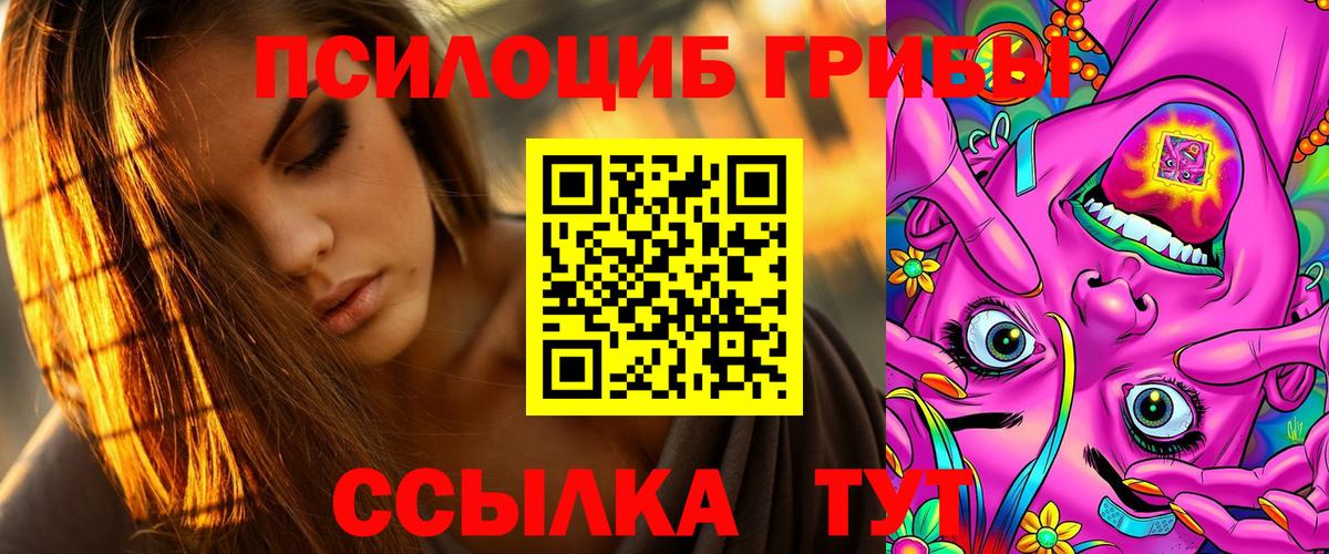 Лосино-Петровский  Псилоцибиновые грибы прущие грибы  Вход с VPN 